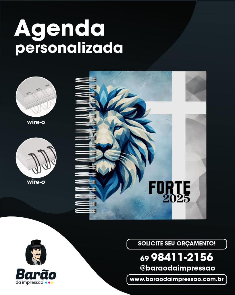 Captura de tela 2025-06-06 163100